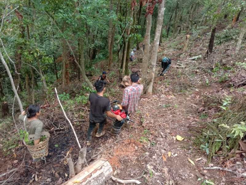 Farmers under PMKSY batch-3 engaged in coffee plantation in Sutemi village, Zunheboto.